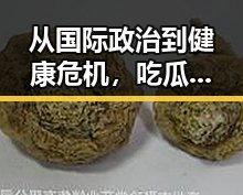 从国际政治到健康危机，吃瓜爆料背后的反差与深意